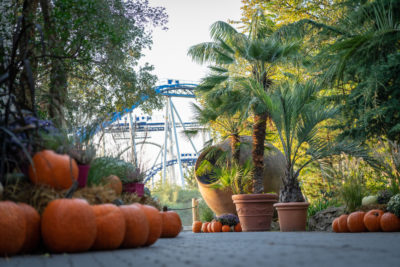 ...les saisons et...