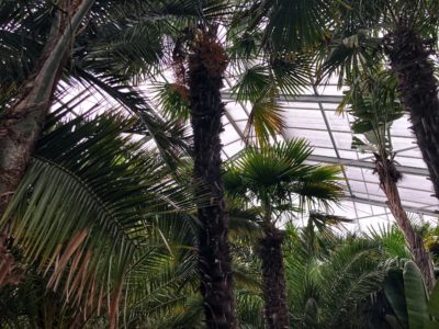 Difficile d'imaginer que cette photo a été prise à Rust !