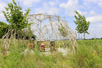 Den Honig aus dem Bienenpavillon der Wasserwelt Rulantica gibt’s im Erlebnishotel „Krønasår“.