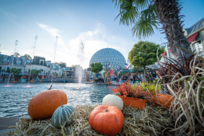 180 000 citrouilles pour décorer l'ensemble du parc !