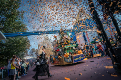 Euch erwartet eine bunte Parade