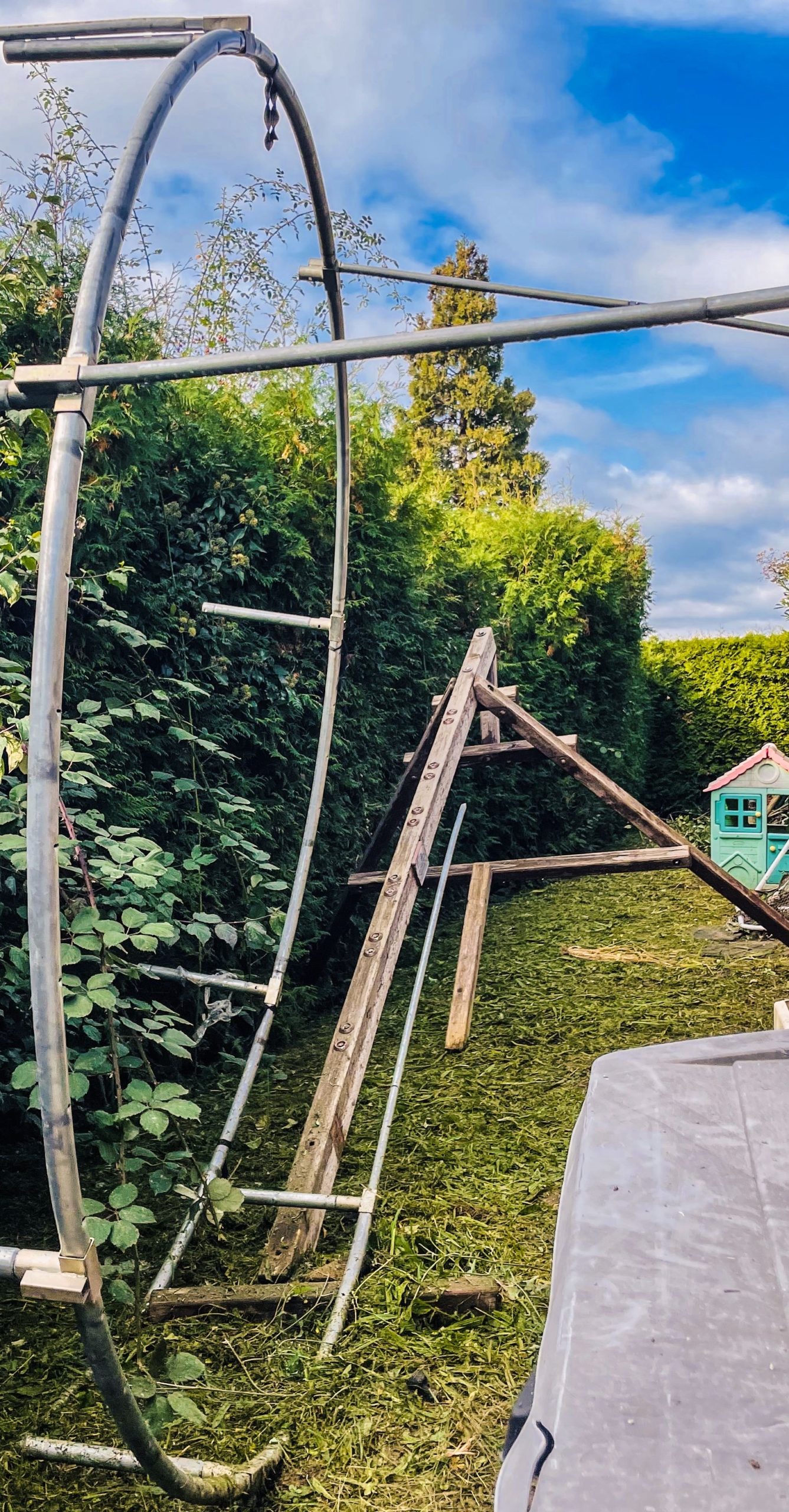 Eine Achterbahn im eigenen Garten? EuropaPark Fan Can hat sie gebaut