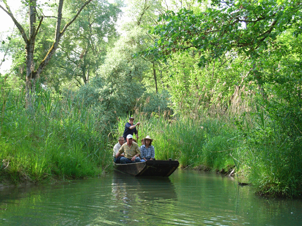 Partez à la découverte de l'Alsace Centrale ! © Office du Tourisme du Grand Ried