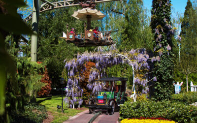 Attraction Volo Da Vinci