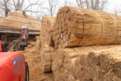 Le chaume provenant de Turquie, près de la mer Morte